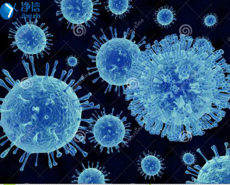 细胞(病毒)展示图
